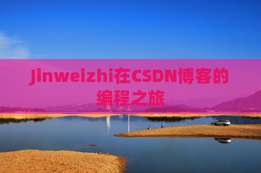 Jinweizhi在CSDN博客的编程之旅